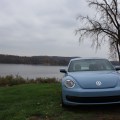 VW Beetle 3