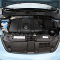 VW Beetle 7