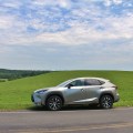 Lexus NX FSport 5