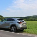 Lexus NX FSport 8