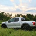 Ford Raptor 11
