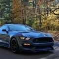 2019 Ford Mustang GT350 5